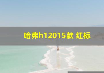 哈弗h12015款 红标